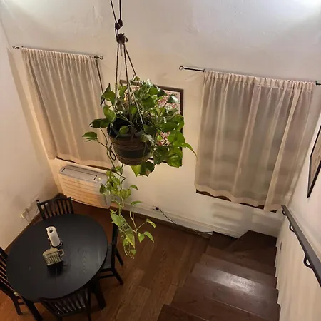Trilocale In Centro Storico * 피렌체